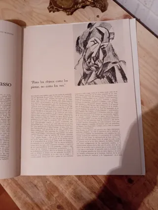 Libro Picasso - Pinacoteca de los Genios
