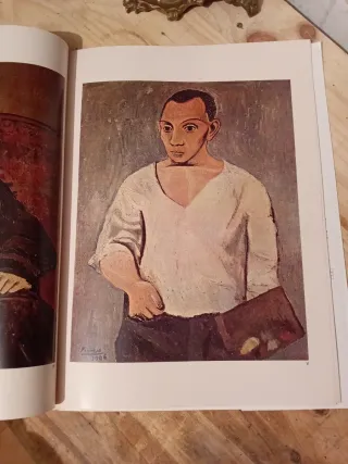 Libro Picasso - Pinacoteca de los Genios