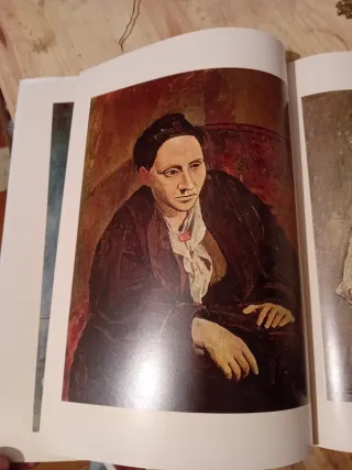 Libro Picasso - Pinacoteca de los Genios