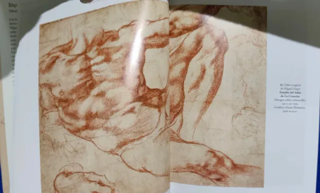 Miguel Ángel. Obra Gráfica
