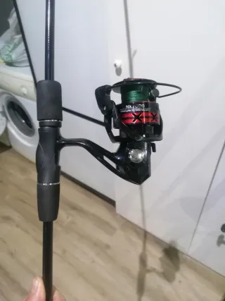 Cañas de pescar y carretes