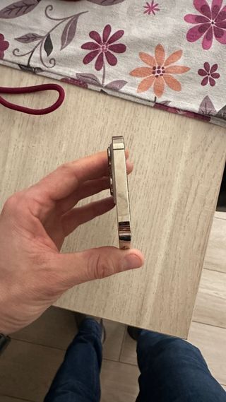 iPhone 13 Pro Plata se vende en enero!