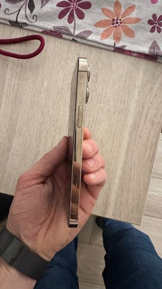 iPhone 13 Pro Plata se vende en enero!