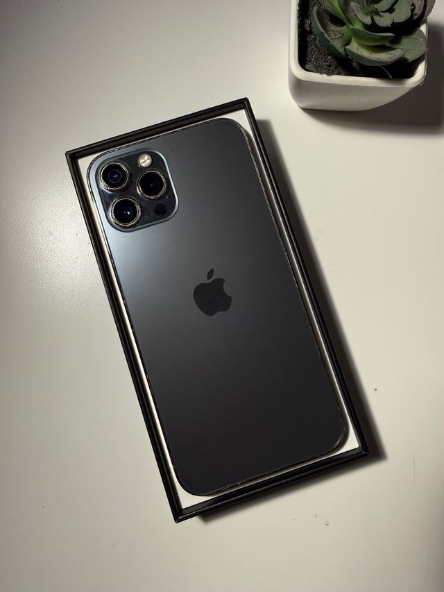 iPhone 12 Pro Max Cinza/Dourado