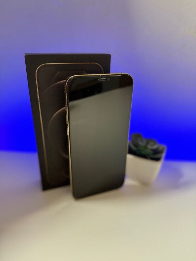iPhone 12 Pro Max Cinza/Dourado