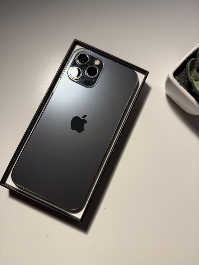 iPhone 12 Pro Max Cinza/Dourado