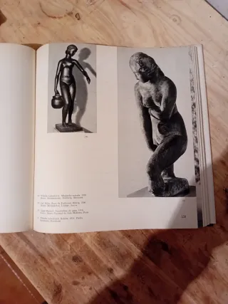 Libro: La Escultura Moderna