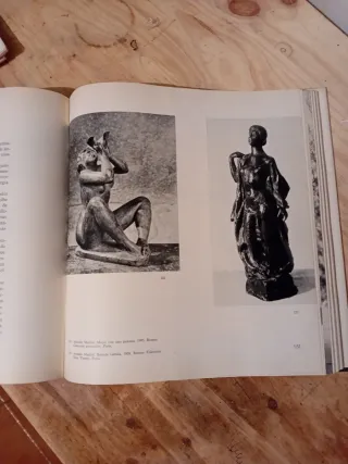 Libro: La Escultura Moderna