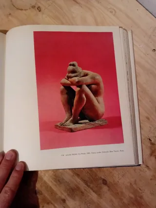 Libro: La Escultura Moderna