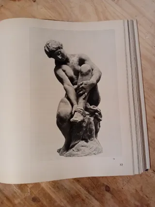 Libro: La Escultura Moderna