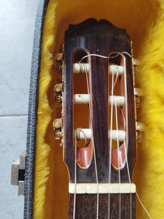 Chitarra Semiacustica Takamine EC128
