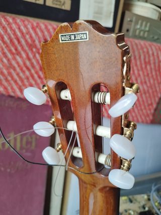 Chitarra Semiacustica Takamine EC128