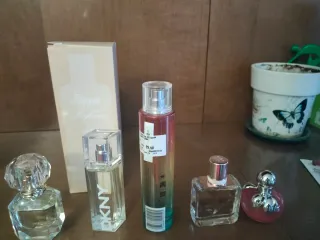 Lote de 6 colonias variadas