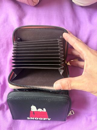 Cartera local y Snoopy