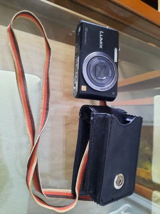 Panasonic Lumix DMC-FX100 Cámara 12MP