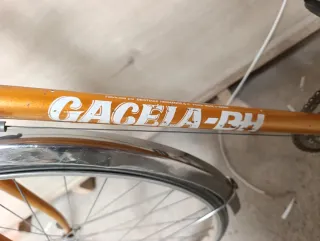 Bicicleta clásica naranja