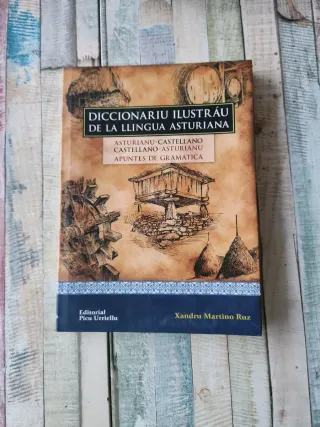 Diccionariu Ilustrau de la Llingua Asturiana