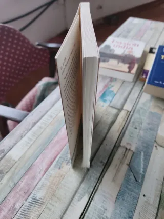 Diccionariu Ilustrau de la Llingua Asturiana