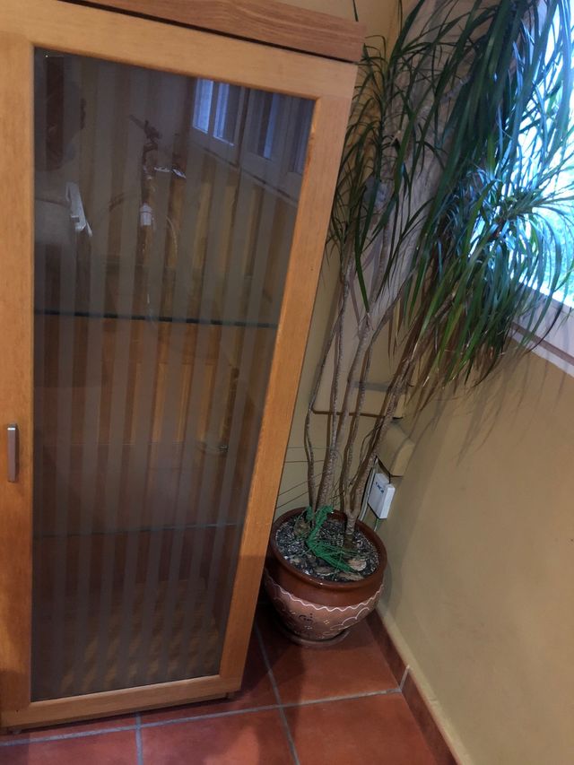 Mueble madera y cristal