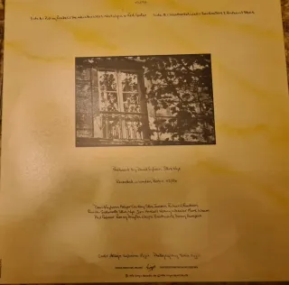 David Sylvian Brilliant Trees LP Vinile