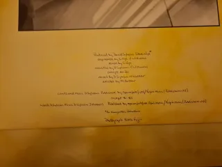 David Sylvian Brilliant Trees LP Vinile