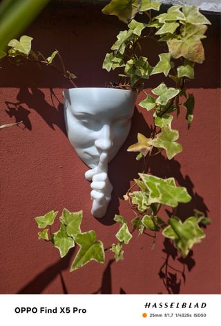 Vaso Decorativo Viso Silenzio 3D