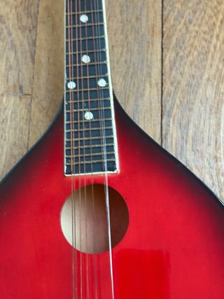 Mandolina roja y negra