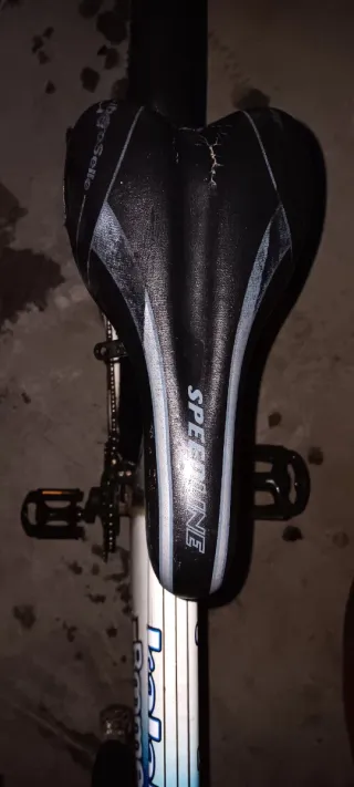 Bicicleta de montaña