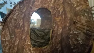 Blind de caza y observación