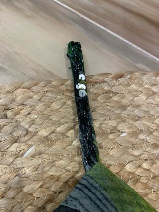 Vestido fiesta corto estampado