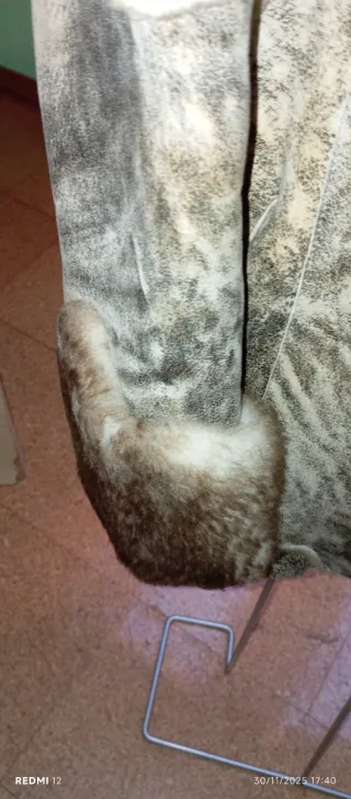 Chaquetón Piel Diseño Especial