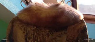 Chaquetón Piel Diseño Especial