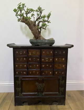 Antica cassettiera in legno con dettagli dorati