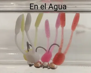 Pesca en Cotos Intensivos