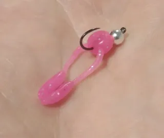 Pesca en Cotos Intensivos