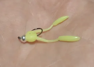 Pesca en Cotos Intensivos