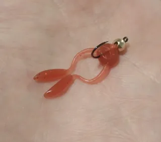 Pesca en Cotos Intensivos