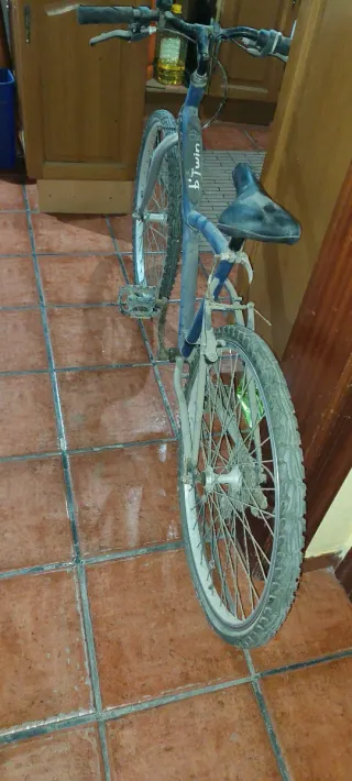 Bicicleta azul