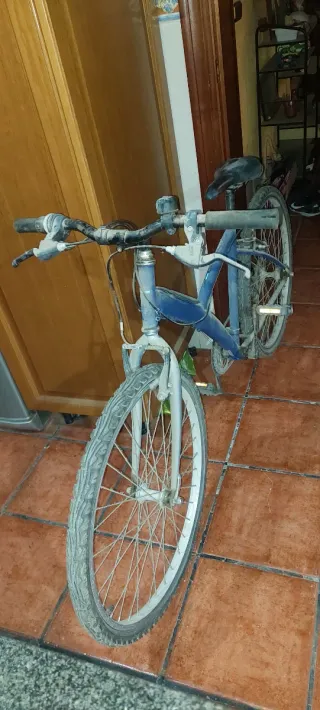 Bicicleta azul