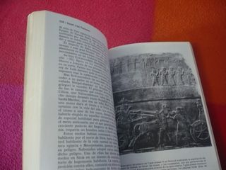 ISRAEL Y LAS NACIONES ( F. F. BRUCE ) HISTORIA