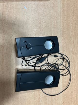 Coppia di altoparlanti per computer
