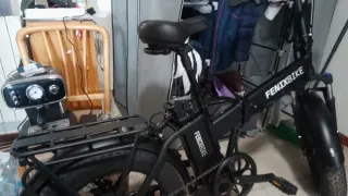 Bici elettrica Fenix Bike