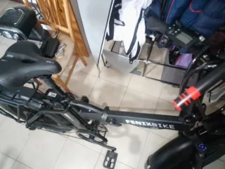 Bici elettrica Fenix Bike