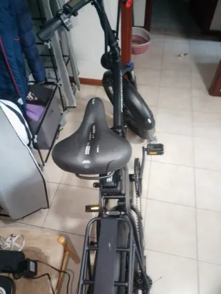 Bici elettrica Fenix Bike