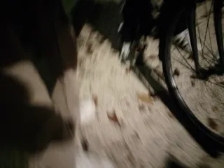 Bici elettrica Fenix Bike