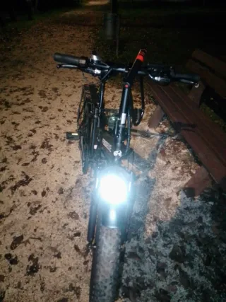 Bici elettrica Fenix Bike