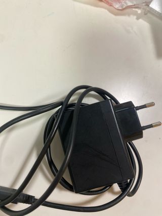 Nintendo Switch Lite + Caricabatterie + Minecraft