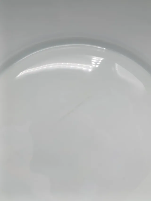 Set Vajilla porcelana Limoges de Sologne