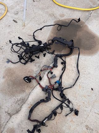 Cableado Motor BMW E60 530d