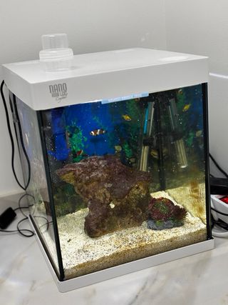 Pecera Nano Agua LED Crystal
